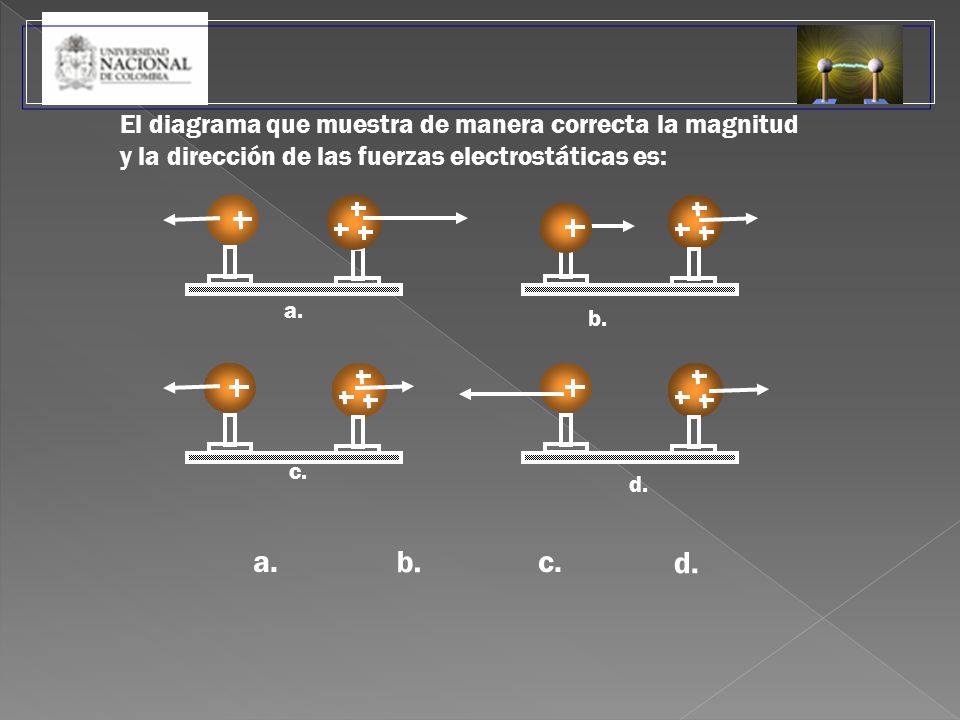 a. b. c. d. El diagrama que muestra de manera correcta la magnitud
