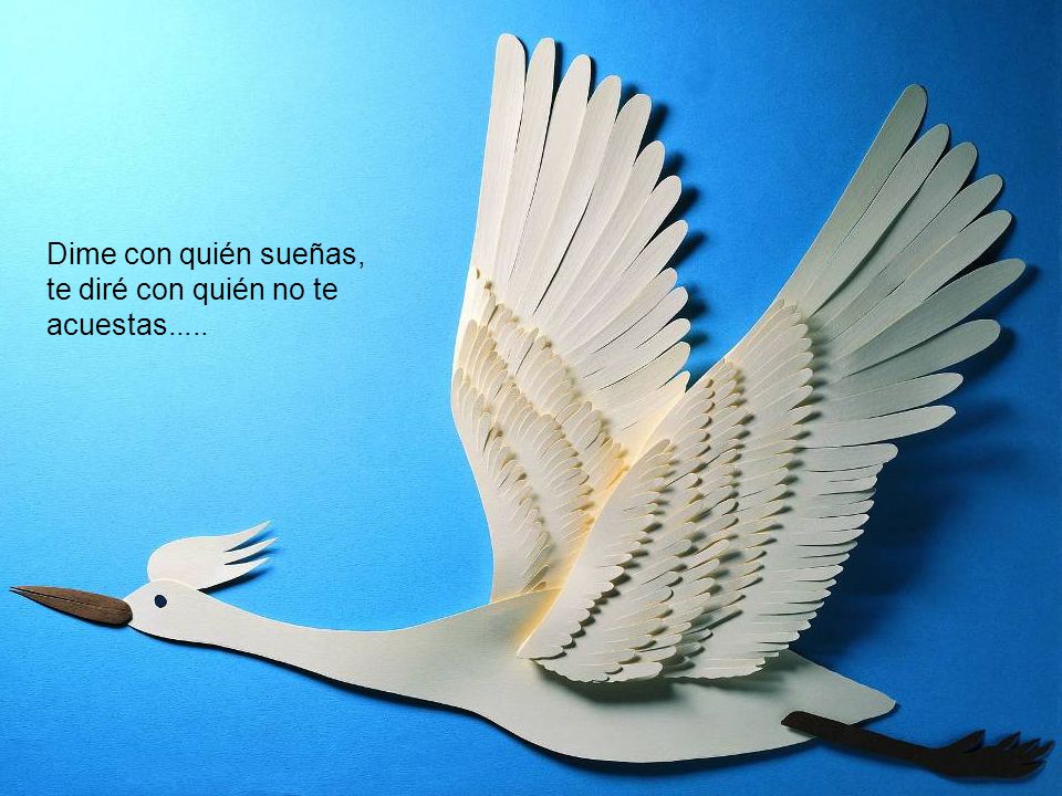 Dime con quién sueñas, te diré con quién no te acuestas.....