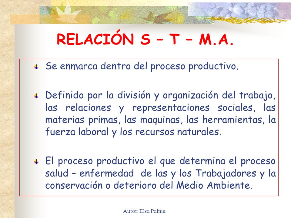 RELACIÓN S – T – M.A. Se enmarca dentro del proceso productivo.