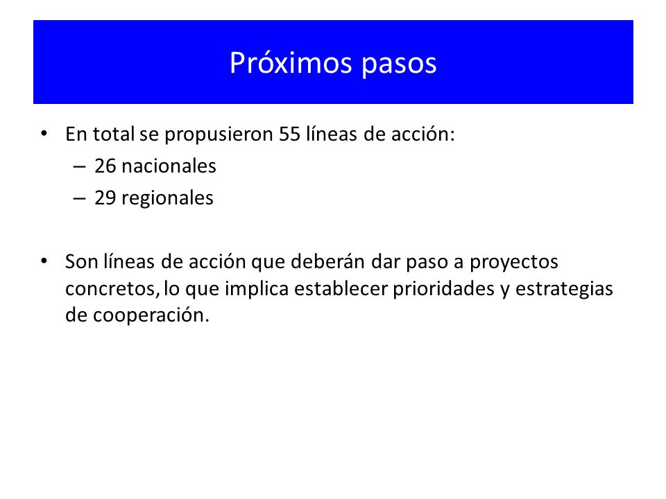 Próximos pasos En total se propusieron 55 líneas de acción: