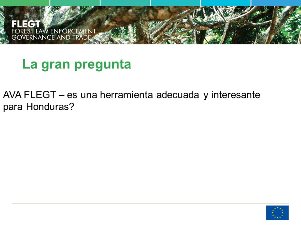 La gran pregunta AVA FLEGT – es una herramienta adecuada y interesante para Honduras So, be indulgent.