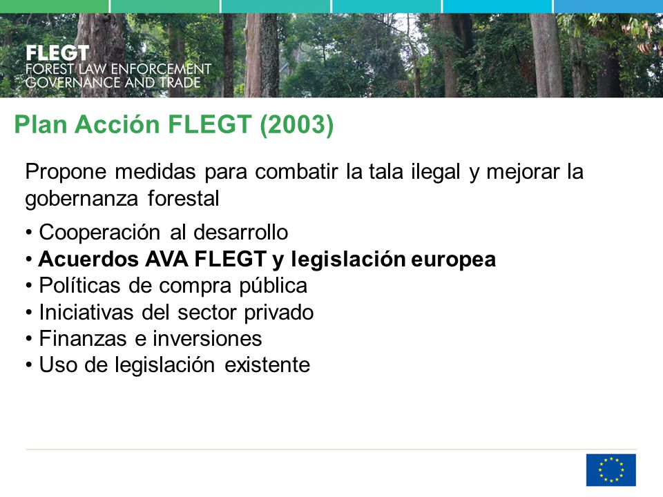Plan Acción FLEGT (2003) Propone medidas para combatir la tala ilegal y mejorar la gobernanza forestal.