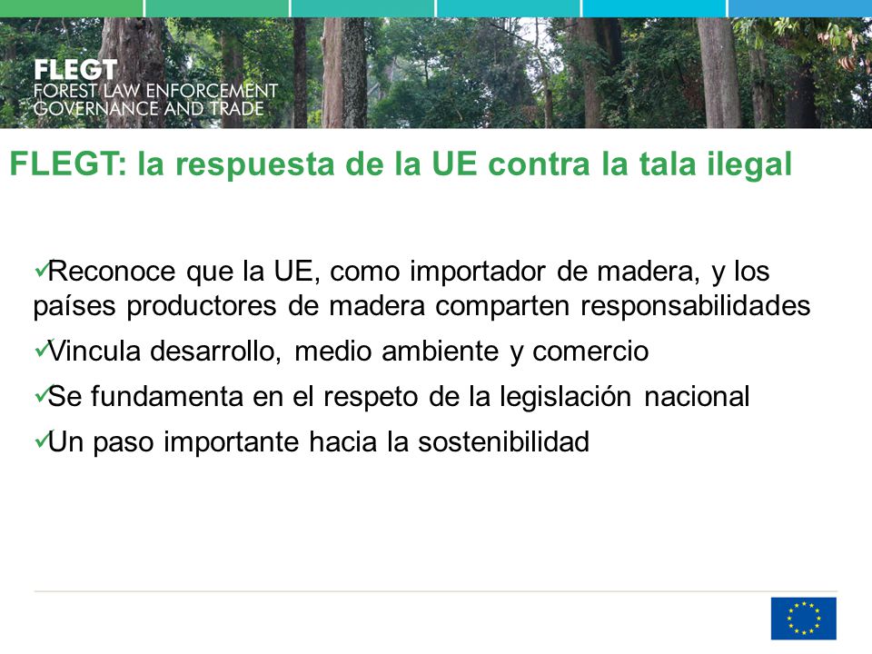 FLEGT: la respuesta de la UE contra la tala ilegal