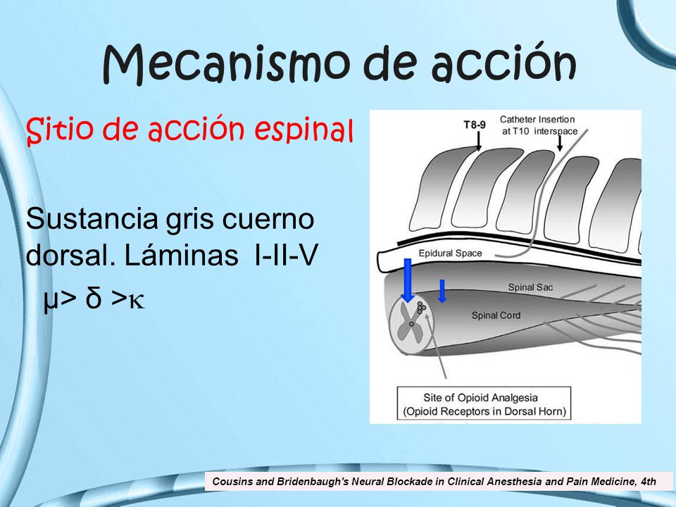 Mecanismo de acción Sitio de acción espinal Sustancia gris cuerno dorsal. Láminas I-II-V µ> δ >