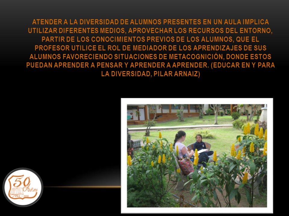 Atender a la diversidad de alumnos presentes en un aula implica utilizar diferentes medios, aprovechar los recursos del entorno, partir de los conocimientos previos de los alumnos, que el profesor utilice el rol de mediador de los aprendizajes de sus alumnos favoreciendo situaciones de metacognición, donde estos puedan aprender a pensar y aprender a aprender.