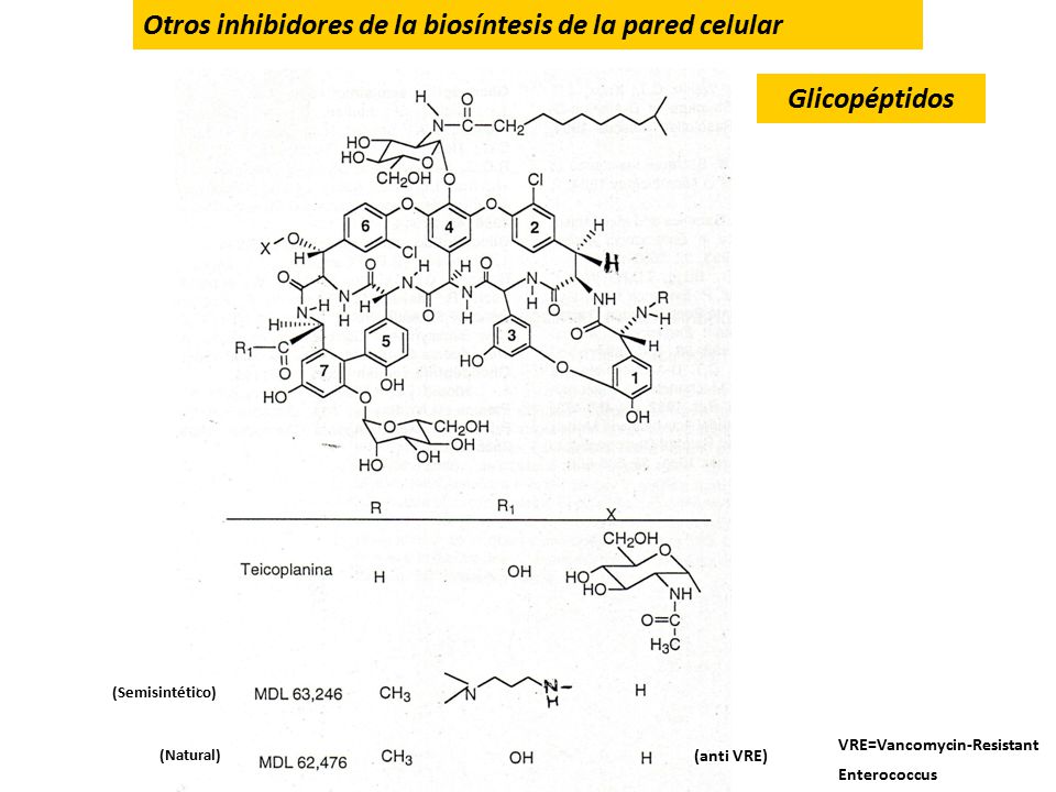 Otros inhibidores de la biosíntesis de la pared celular