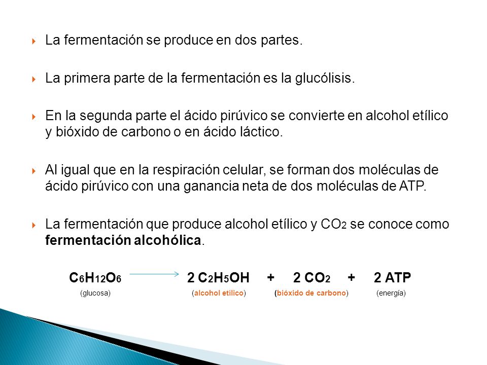 La fermentación se produce en dos partes.