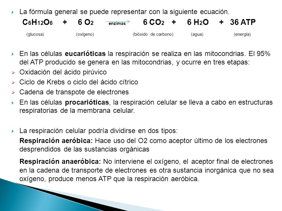 C6H12O6 + 6 O2 enzimas 6 CO2 + 6 H2O + 36 ATP