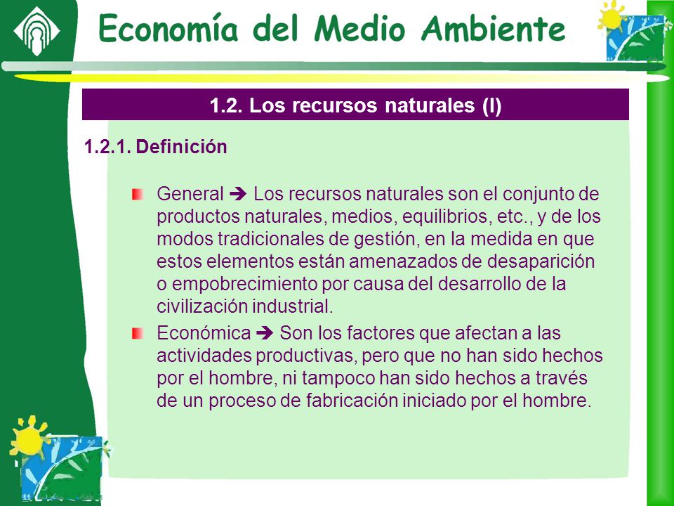 TEMA 1. La actividad económica y el medio ambiente - ppt descargar