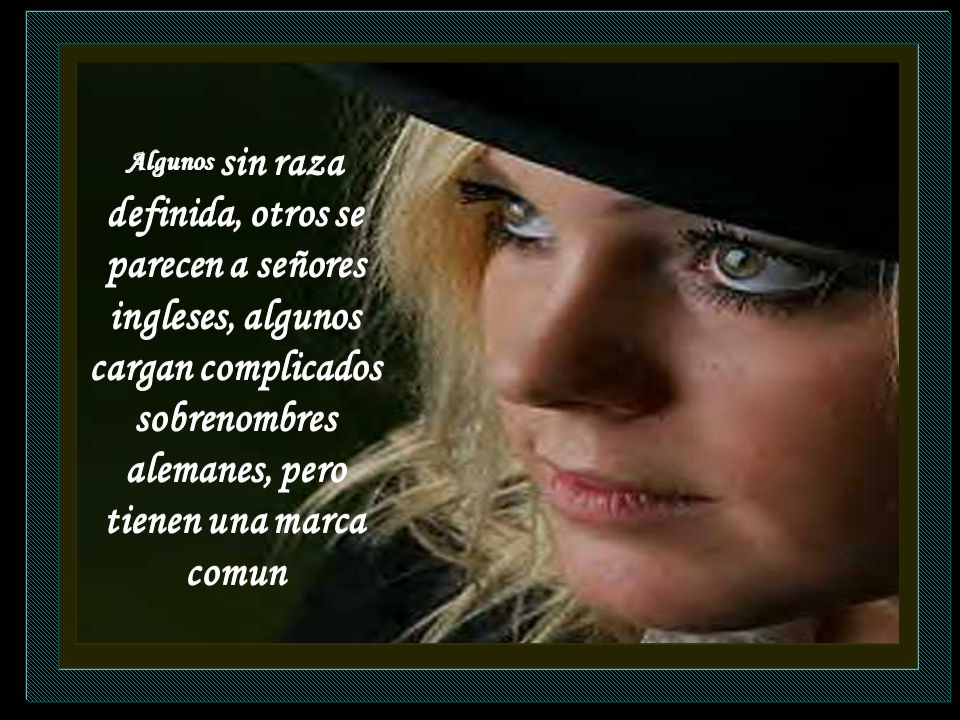 Algunos sin raza definida, otros se parecen a señores ingleses, algunos cargan complicados sobrenombres alemanes, pero tienen una marca comun