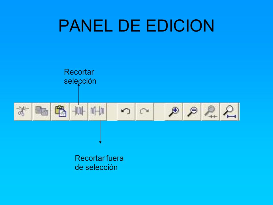 PANEL DE EDICION Recortar selección Recortar fuera de selección