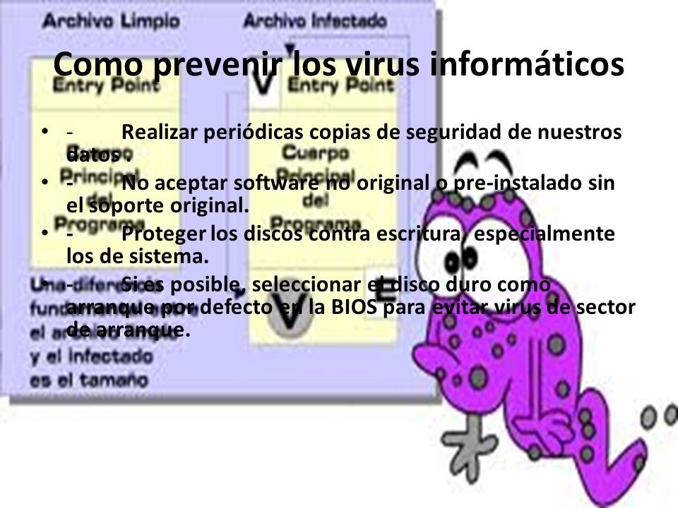 Como prevenir los virus informáticos