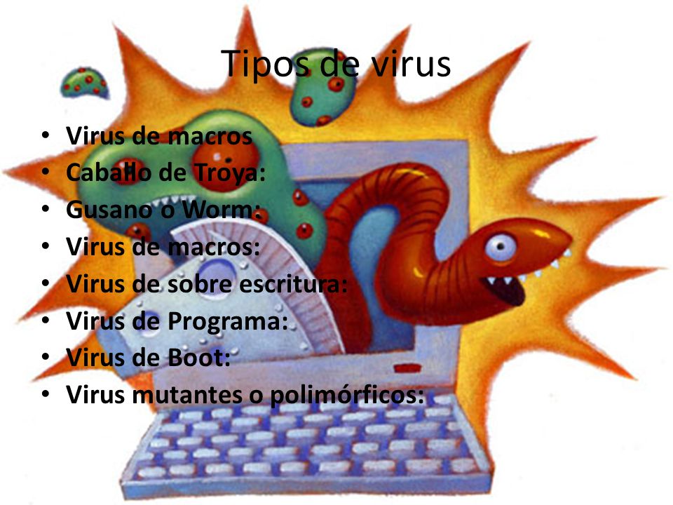 Tipos de virus Virus de macros Caballo de Troya: Gusano o Worm: