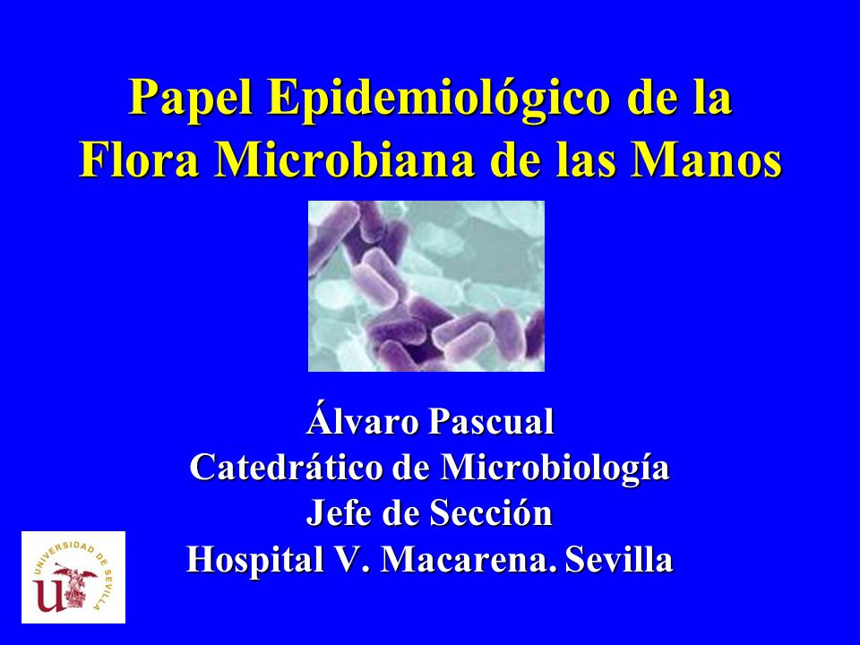 Papel Epidemiológico de la Flora Microbiana de las Manos