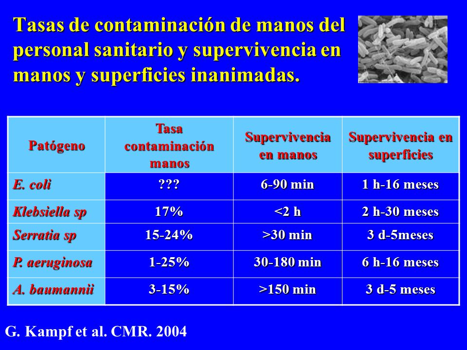 Tasas de contaminación de manos del personal sanitario y supervivencia en manos y superficies inanimadas.