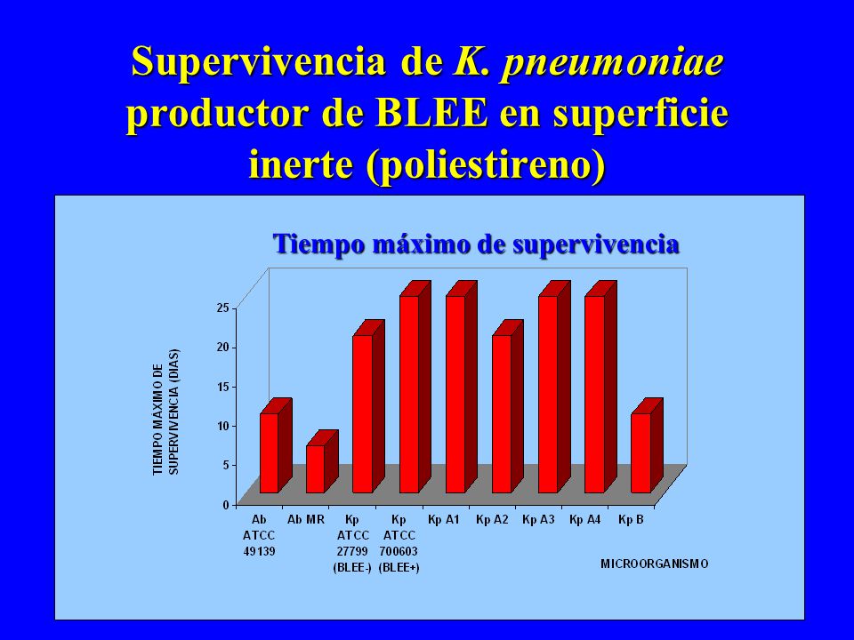 Supervivencia de K. pneumoniae productor de BLEE en superficie inerte (poliestireno)