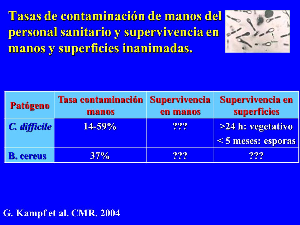Tasas de contaminación de manos del personal sanitario y supervivencia en manos y superficies inanimadas.