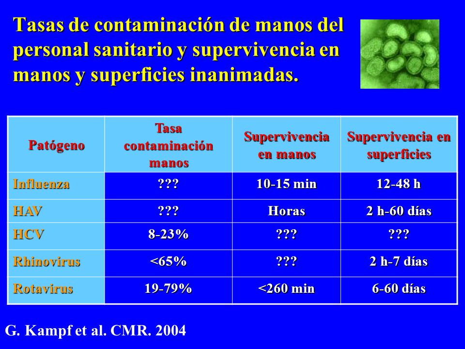 Tasas de contaminación de manos del personal sanitario y supervivencia en manos y superficies inanimadas.