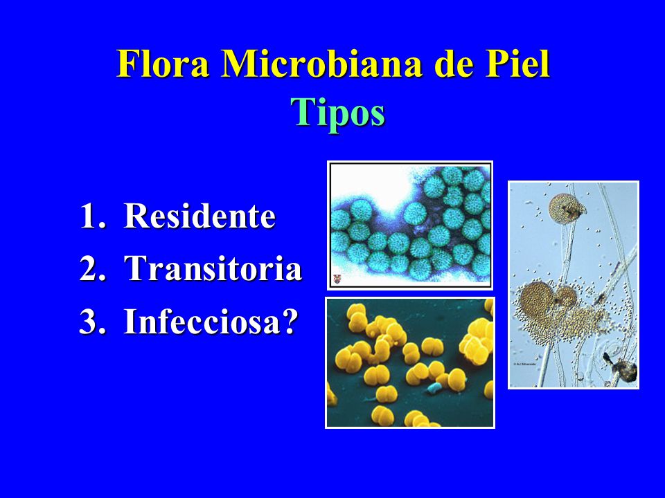 Flora Microbiana de Piel Tipos
