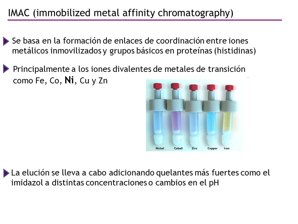 IMAC (immobilized metal affinity chromatography)