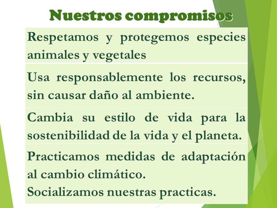 Nuestros compromisos Respetamos y protegemos especies animales y vegetales. Usa responsablemente los recursos, sin causar daño al ambiente.