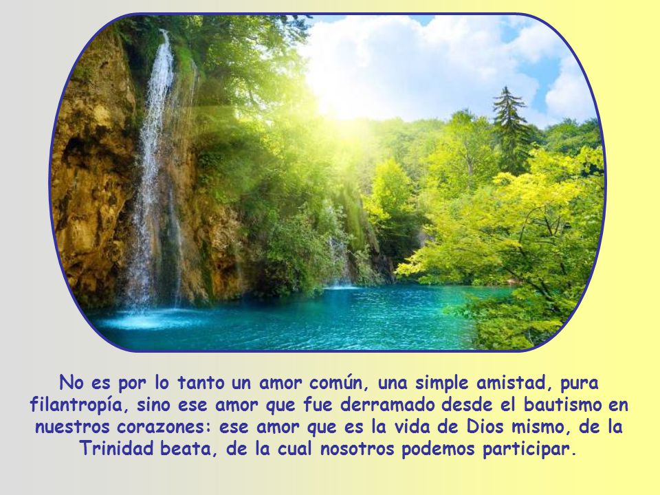 No es por lo tanto un amor común, una simple amistad, pura filantropía, sino ese amor que fue derramado desde el bautismo en nuestros corazones: ese amor que es la vida de Dios mismo, de la Trinidad beata, de la cual nosotros podemos participar.