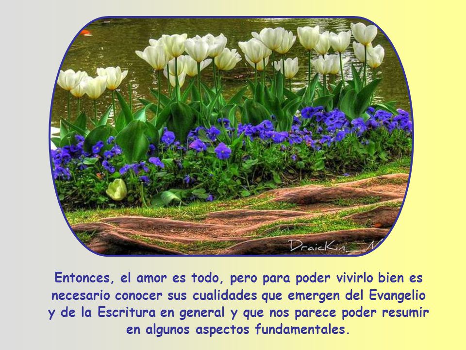 Entonces, el amor es todo, pero para poder vivirlo bien es necesario conocer sus cualidades que emergen del Evangelio y de la Escritura en general y que nos parece poder resumir en algunos aspectos fundamentales.