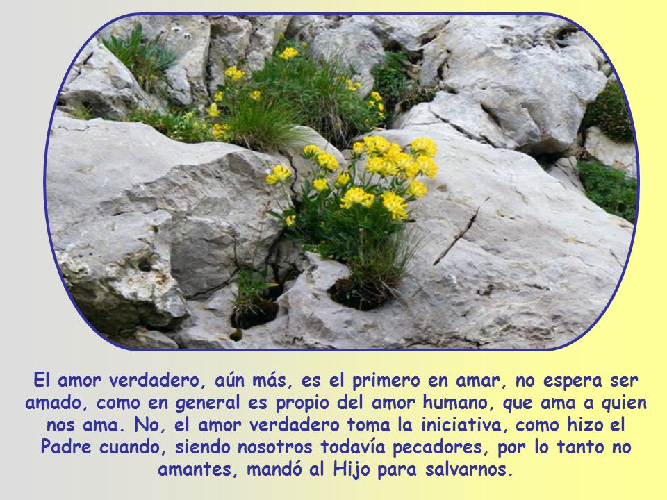 El amor verdadero, aún más, es el primero en amar, no espera ser amado, como en general es propio del amor humano, que ama a quien nos ama.