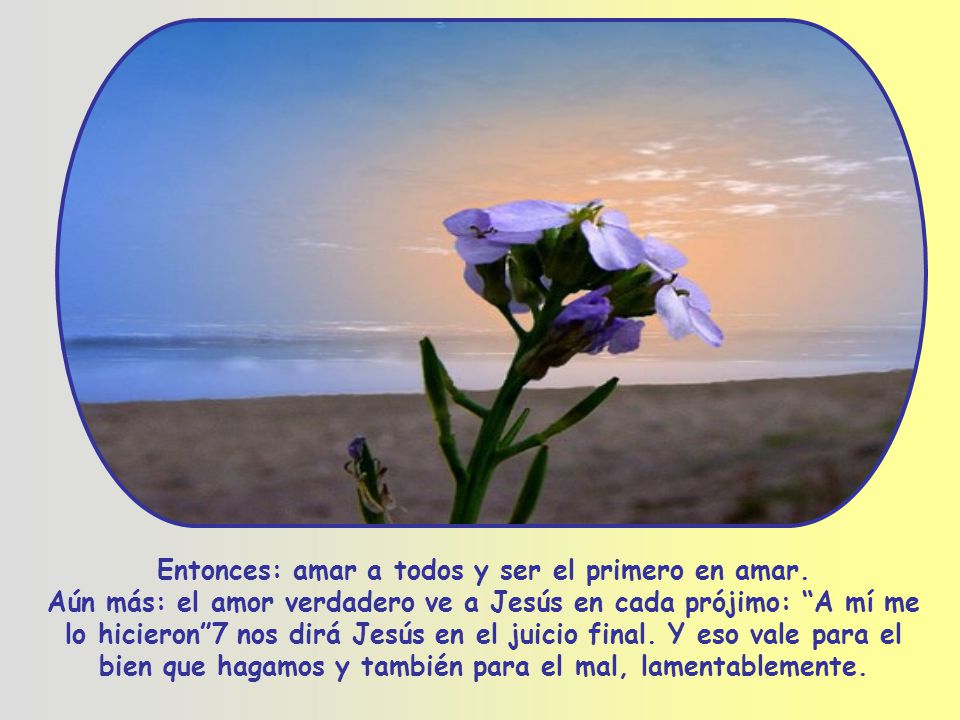 Entonces: amar a todos y ser el primero en amar.
