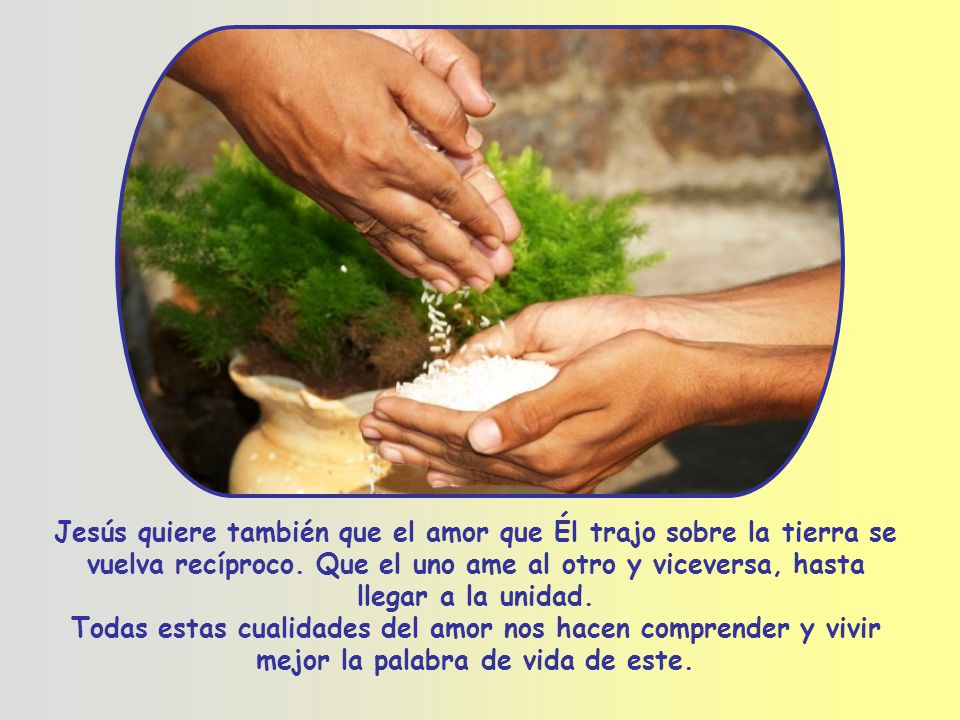 Jesús quiere también que el amor que Él trajo sobre la tierra se vuelva recíproco. Que el uno ame al otro y viceversa, hasta llegar a la unidad.