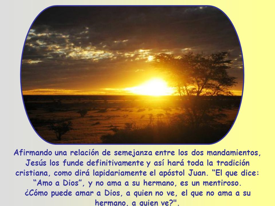 Afirmando una relación de semejanza entre los dos mandamientos, Jesús los funde definitivamente y así hará toda la tradición cristiana, como dirá lapidariamente el apóstol Juan. El que dice: Amo a Dios , y no ama a su hermano, es un mentiroso.