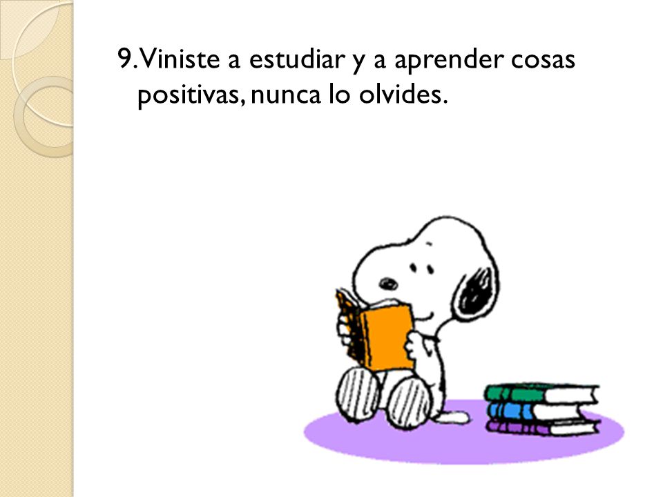 9. Viniste a estudiar y a aprender cosas positivas, nunca lo olvides.