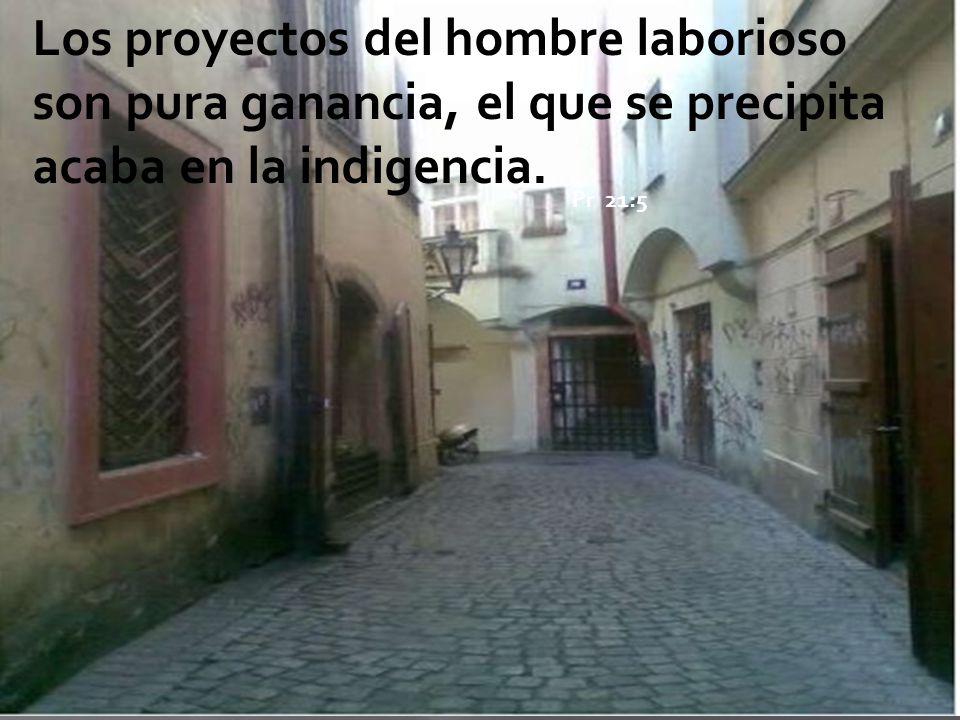 Los proyectos del hombre laborioso son pura ganancia, el que se precipita acaba en la indigencia.