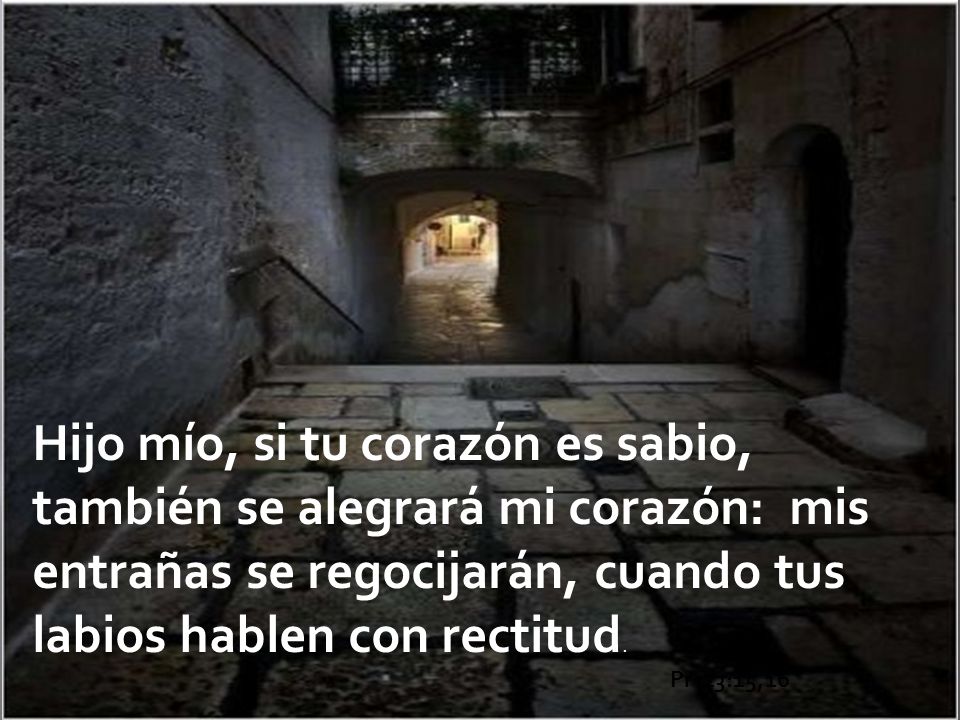 Hijo mío, si tu corazón es sabio, también se alegrará mi corazón: mis entrañas se regocijarán, cuando tus labios hablen con rectitud.