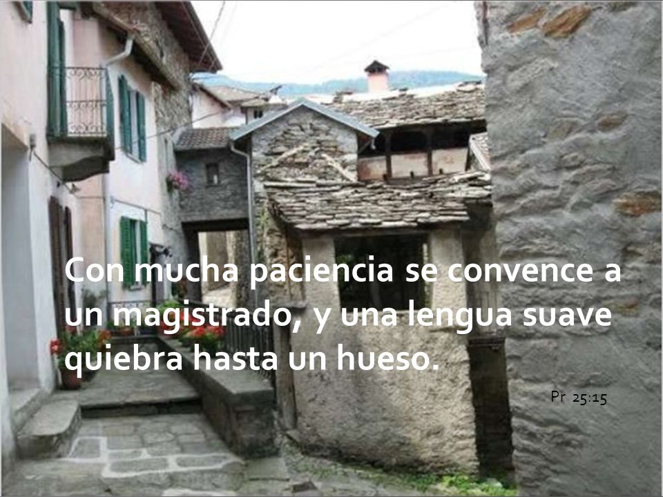 Con mucha paciencia se convence a un magistrado, y una lengua suave quiebra hasta un hueso.