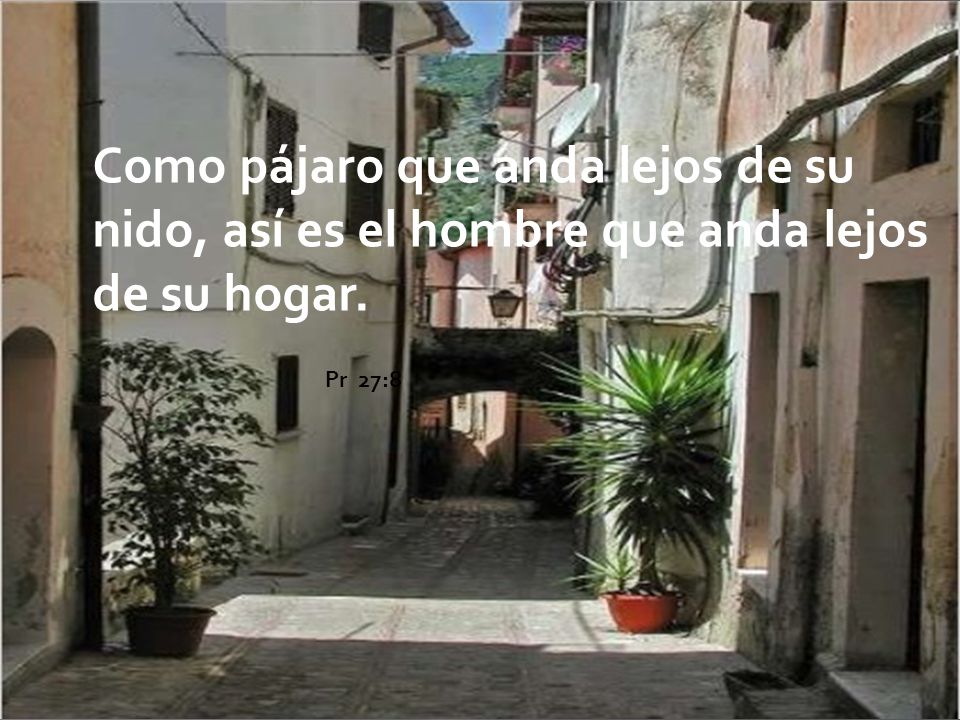Como pájaro que anda lejos de su nido, así es el hombre que anda lejos de su hogar.