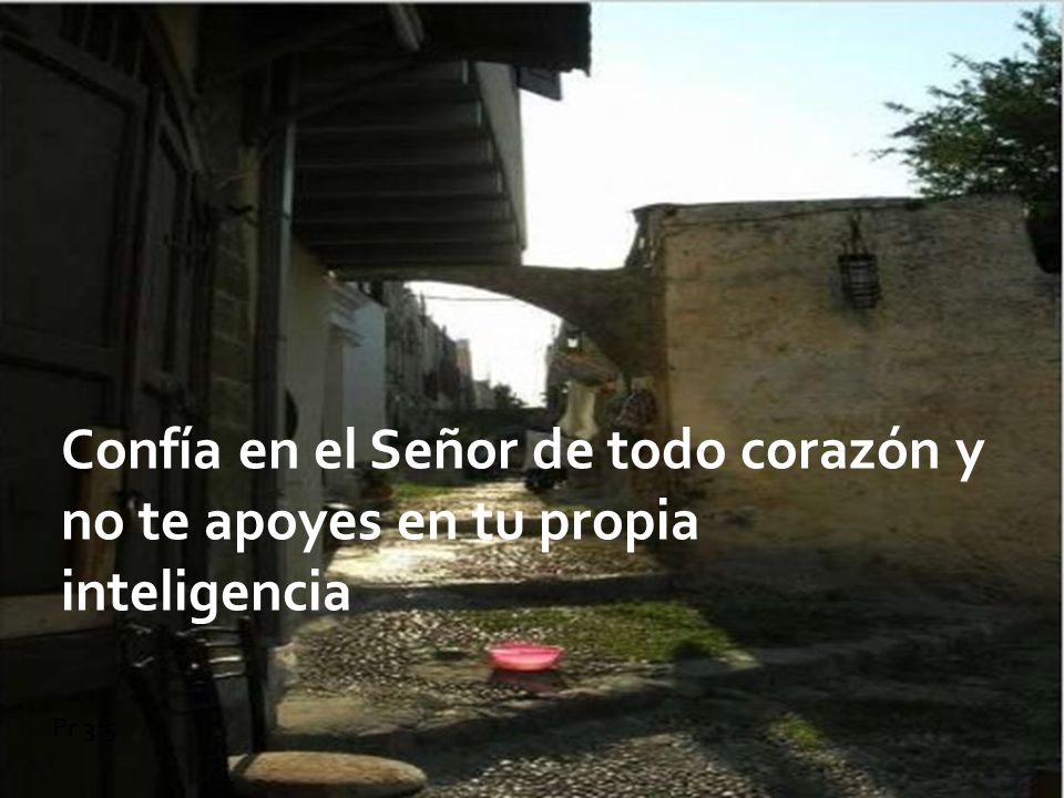 Confía en el Señor de todo corazón y no te apoyes en tu propia inteligencia