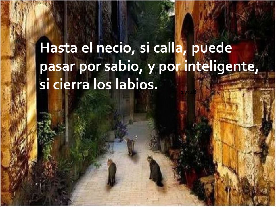 Hasta el necio, si calla, puede pasar por sabio, y por inteligente, si cierra los labios.