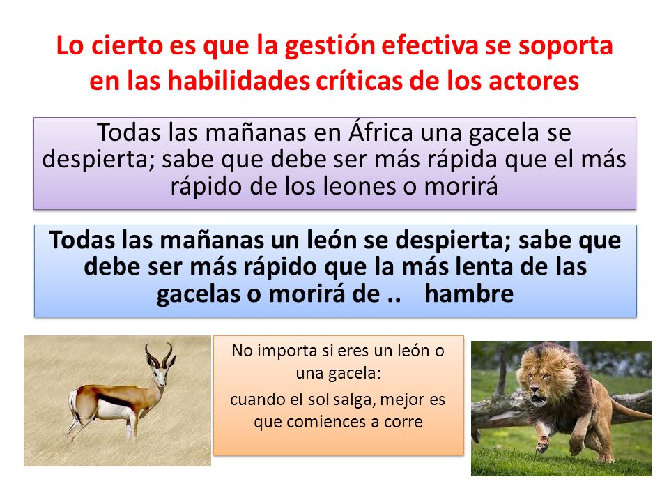 Lo cierto es que la gestión efectiva se soporta en las habilidades críticas de los actores