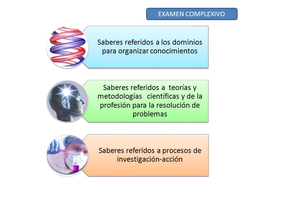 EXAMEN COMPLEXIVO Saberes referidos a los dominios para organizar conocimientos.