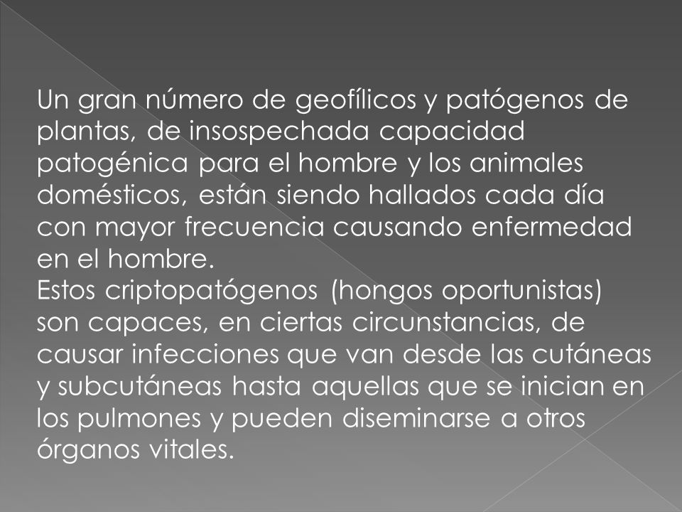 Un gran número de geofílicos y patógenos de plantas, de insospechada capacidad patogénica para el hombre y los animales domésticos, están siendo hallados cada día con mayor frecuencia causando enfermedad en el hombre.