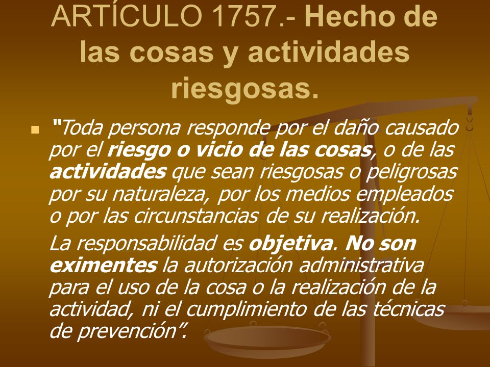 ARTÍCULO Hecho de las cosas y actividades riesgosas.