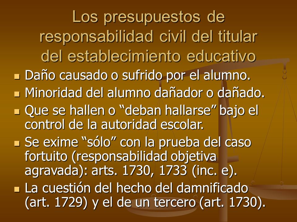Los presupuestos de responsabilidad civil del titular del establecimiento educativo