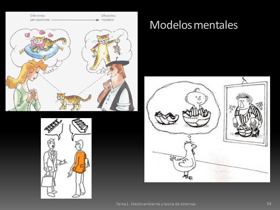 Modelos mentales Tema 1. Medio ambiente y teoría de sistemas