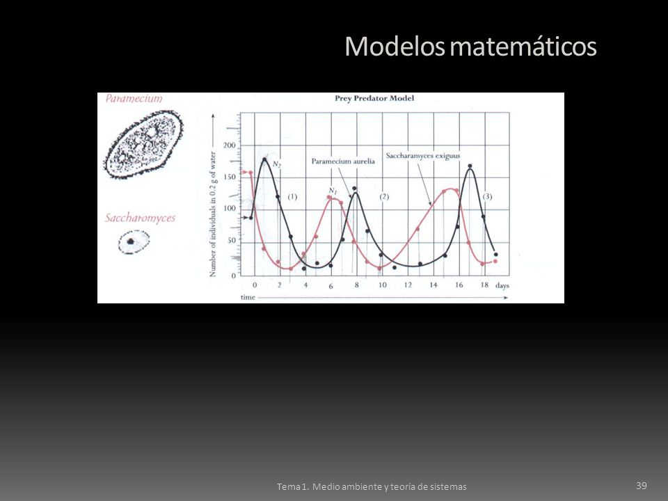 Modelos matemáticos Tema 1. Medio ambiente y teoría de sistemas