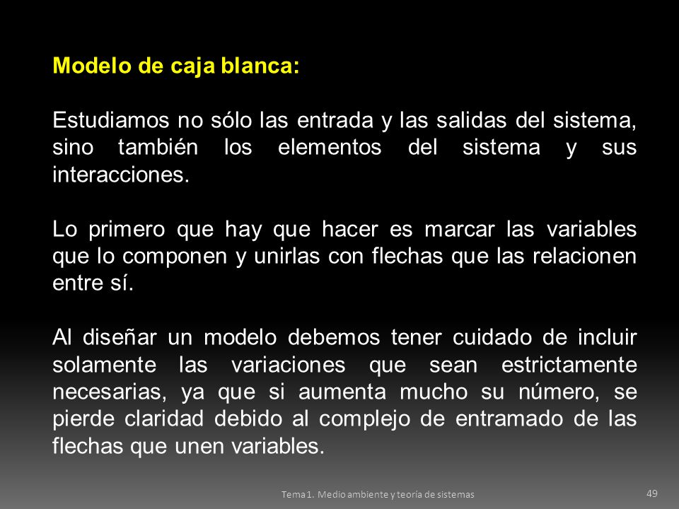 Modelo de caja blanca: Estudiamos no sólo las entrada y las salidas del sistema, sino también los elementos del sistema y sus interacciones.