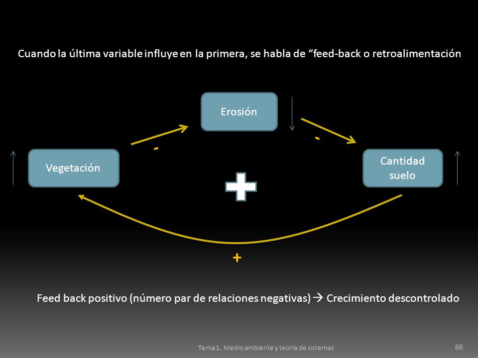 Cuando la última variable influye en la primera, se habla de feed-back o retroalimentación