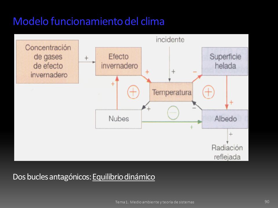 Modelo funcionamiento del clima Dos bucles antagónicos: Equilibrio dinámico