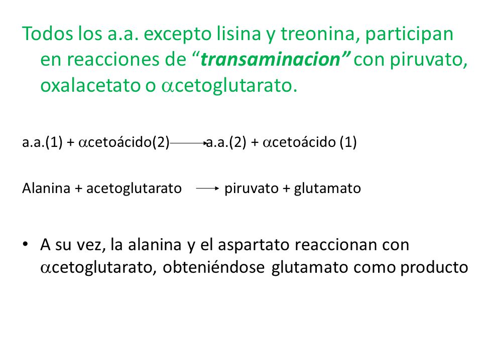 Todos los a.a. excepto lisina y treonina, participan en reacciones de transaminacion con piruvato, oxalacetato o acetoglutarato.