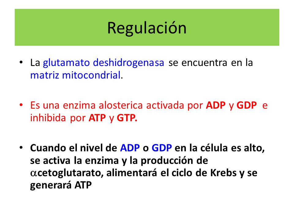Regulación La glutamato deshidrogenasa se encuentra en la matriz mitocondrial.